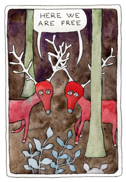 forest friends 2014