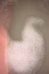 slepicka